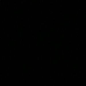 Meet your Posher, Isabella